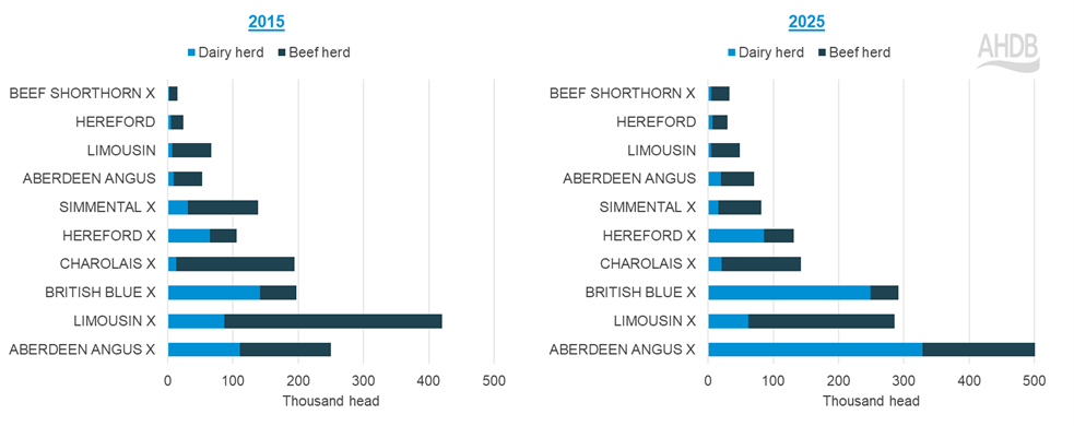 Figure 2 shows bar charts of registrations of the ten most popular beef breeds, by dairy origin or b